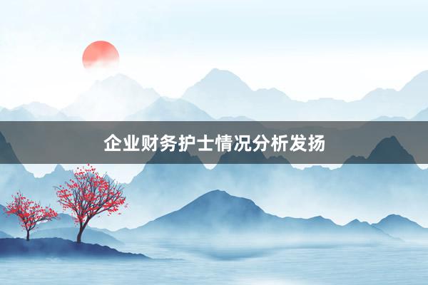 企业财务护士情况分析发扬